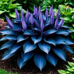 Хоста Сикрет Гров купить по цене от 570р. в интернет-магазине «Посадика» с доставкой почтой в в Удомляе и по всей России – [изображение №1].